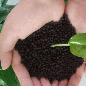 胜游官网入口复合肥发展趋势